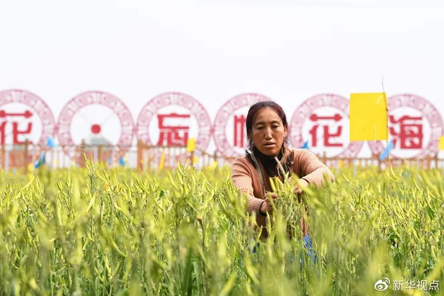 图片说明