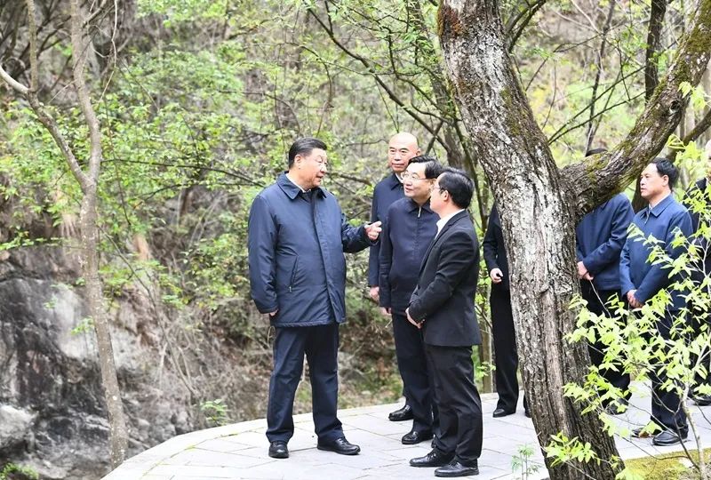 图片说明