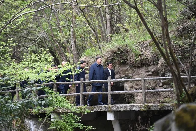 图片说明