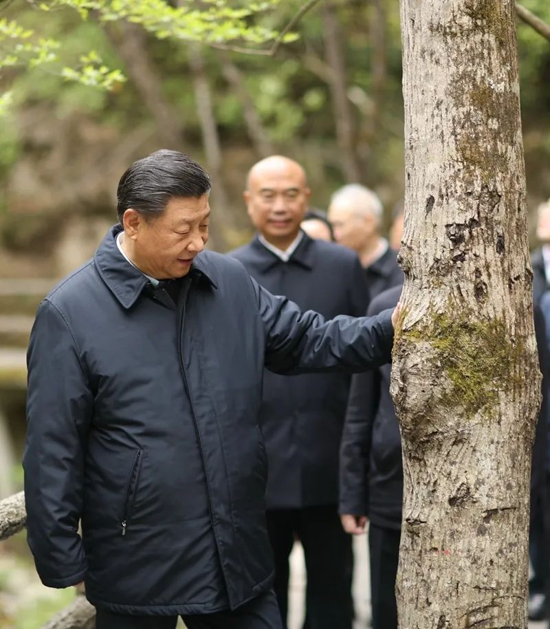 图片说明