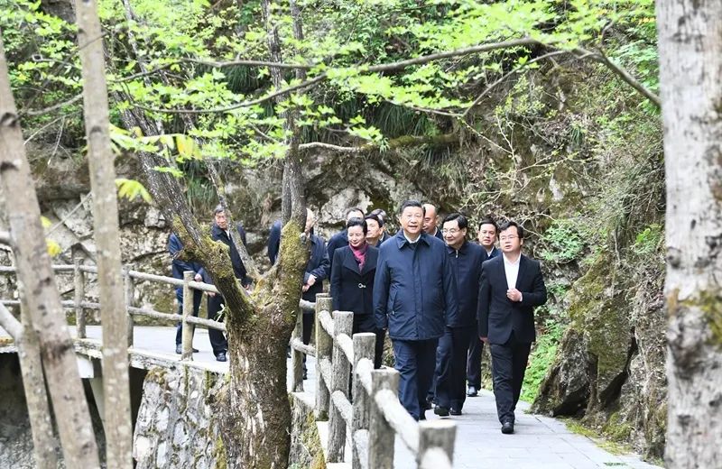 图片说明
