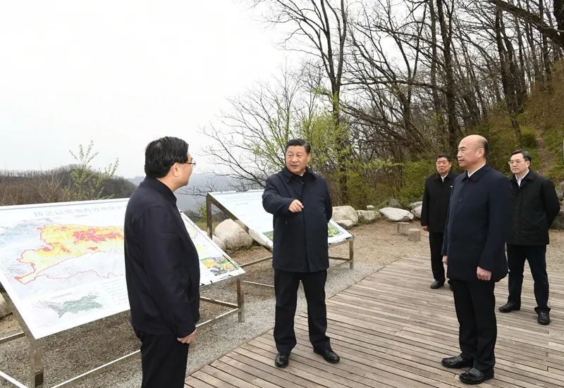 图片说明