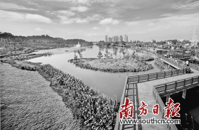 图片说明