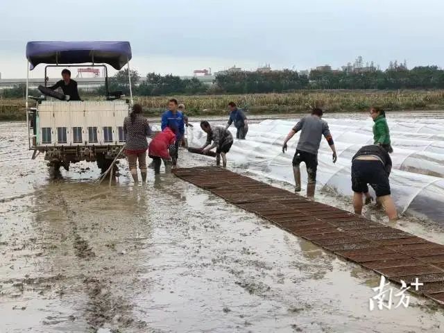 图片说明