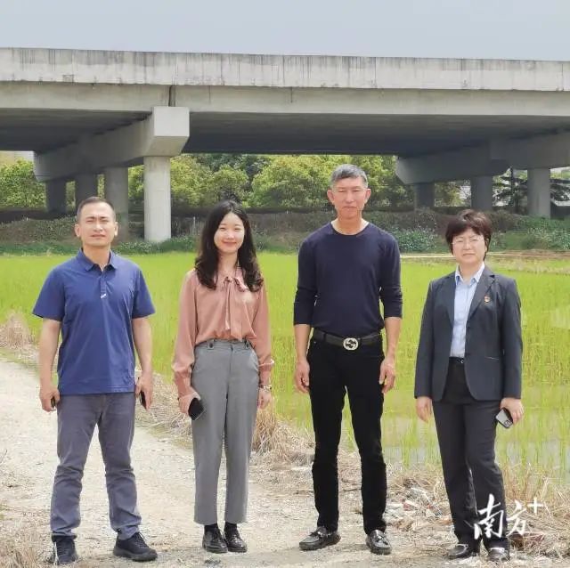 图片说明