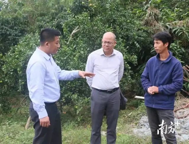 图片说明