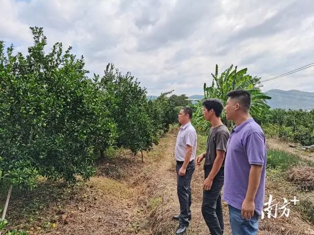 图片说明