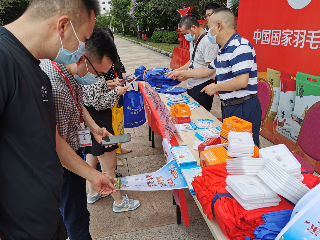 图片说明