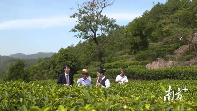 图片说明