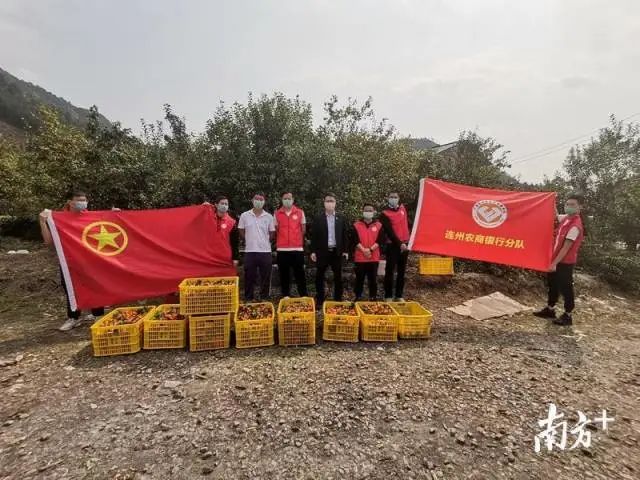 图片说明