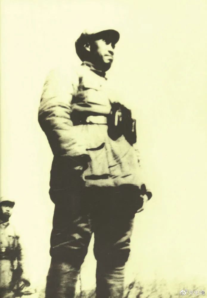 图片说明