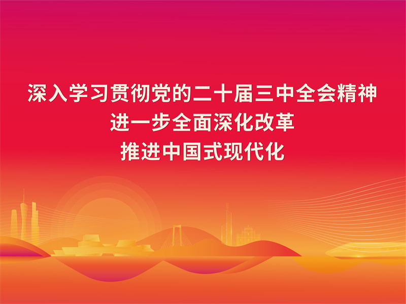 学习宣传贯彻党的二十届三中全会精神