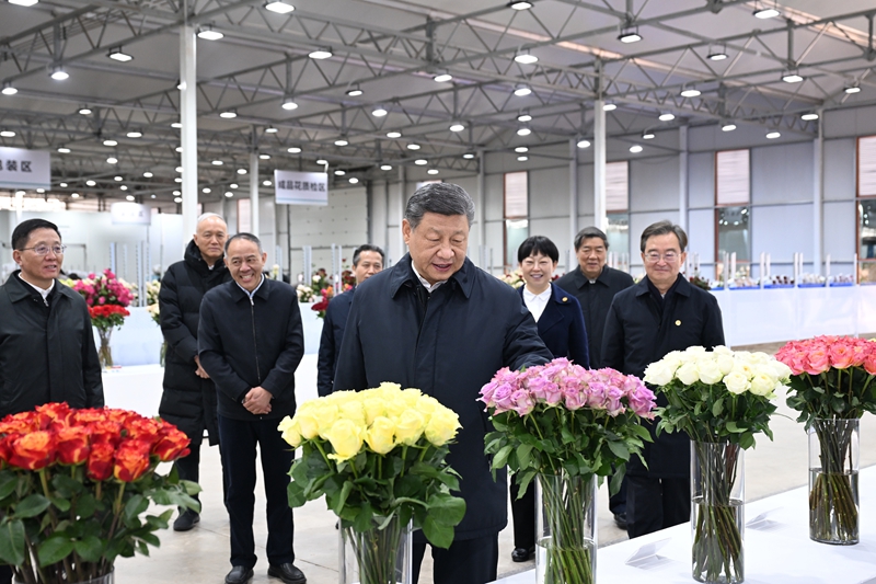 3月19日至20日，中共中央总书记、国家主席、中央军委主席习近平在云南考察。这是19日下午，习近平在丽江现代花卉产业园展厅，察看鲜切花品种展示。