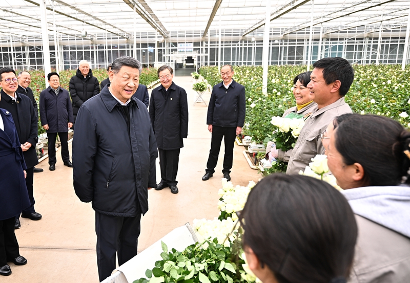 3月19日至20日，中共中央总书记、国家主席、中央军委主席习近平在云南考察。这是19日下午，习近平在丽江现代花卉产业园玫瑰花种植区，同现场村民、技术人员亲切交谈。