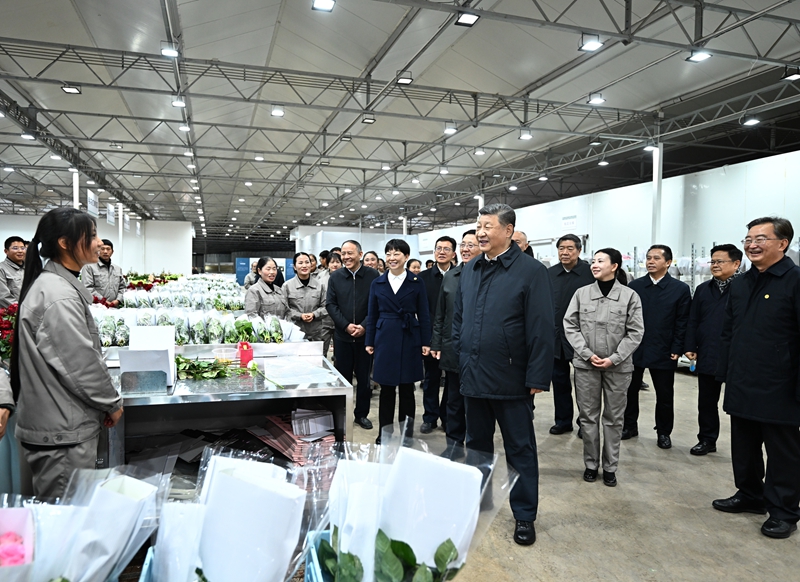 3月19日至20日，中共中央总书记、国家主席、中央军委主席习近平在云南考察。这是19日下午，习近平在丽江现代花卉产业园玫瑰花分级包装生产线考察。