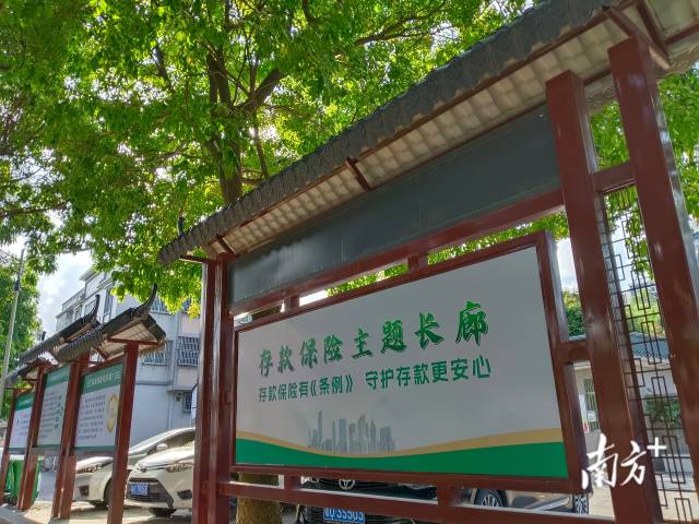 存保十年护万家！潮州古城“非遗+金融”，潮味十足
