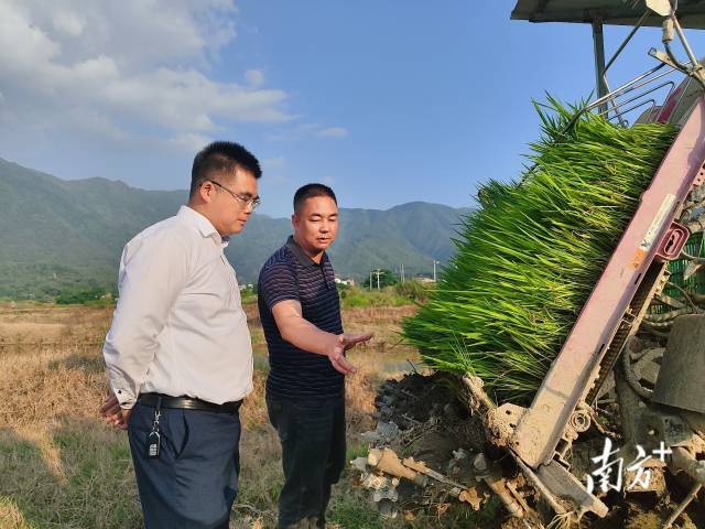 金融“活水”浇灌饶平特色产业，红色土地焕新彩