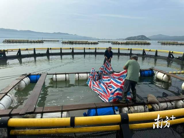 海里的鱼，也能成“活资产”？潮州金融全链条护航现代化海洋牧场