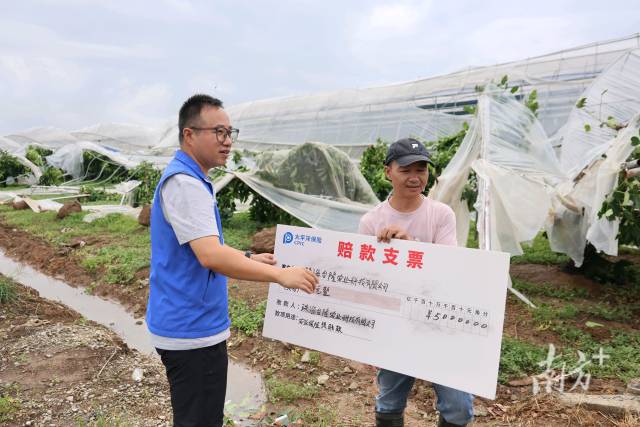 以制度性保障支撑广东走在前列！广东九部门联合出台指导意见系统支持保险业高质量发展