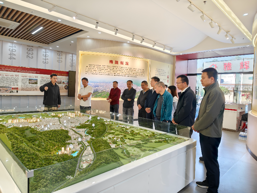 省委金融办赴海丰县开展专题调研暨绿美植树活动