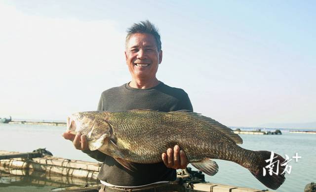 媒体解读 | 擦亮“粤担保”品牌!四部门联合印发行动方案,广东融资担保体系再升级 媒体解读 | 擦亮“粤担保”品牌!四部门联合印发行动方案,广东融资担保体系再升级