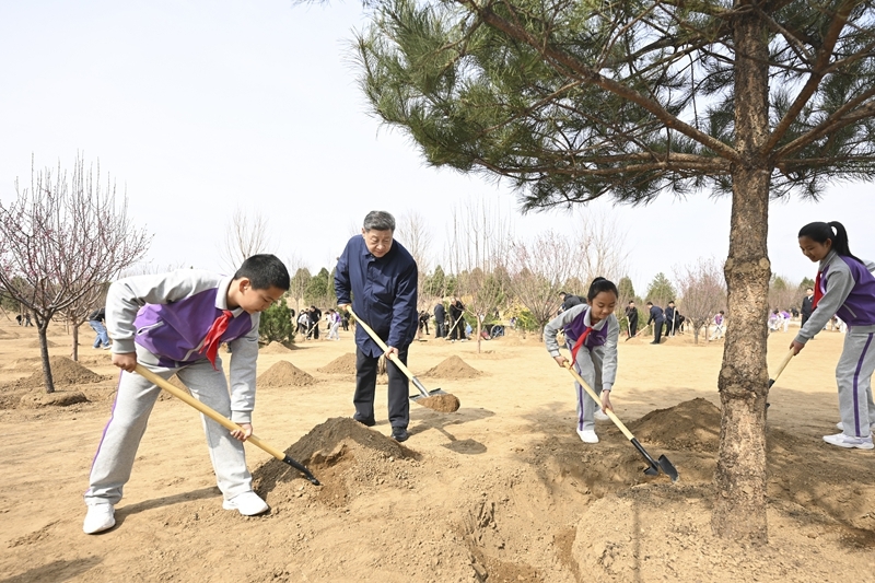 3月30日，党和国家领导人习近平、李强、赵乐际、王沪宁、蔡奇、丁薛祥、李希等来到北京市昌平区百善镇参加首都义务植树活动。这是习近平同大家一起植树。图片来源：新华网
