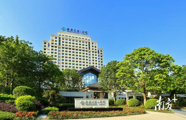 如何用一张保单打通粤港澳三地生活？| 广东保险业高质量发展系列报道④