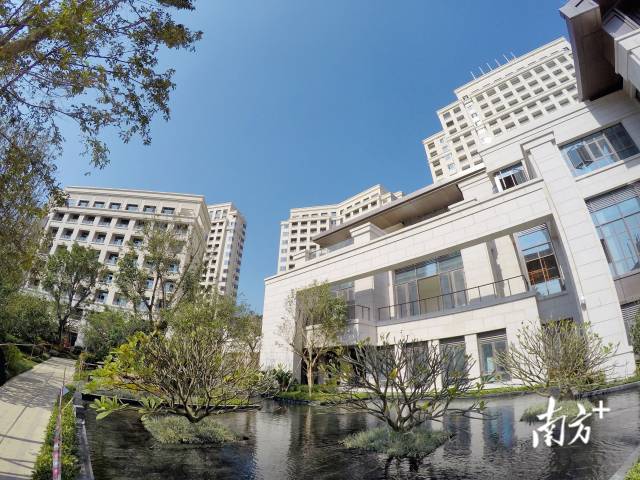 2.6万亿元险资入粤，广东凭什么？| 广东保险业高质量发展系列报道‌⑤