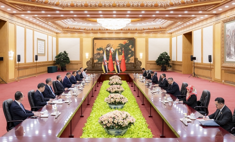 5月12日下午，国家主席习近平在北京人民大会堂会见来华进行正式访问的文莱王储比拉。图片来源：新华网