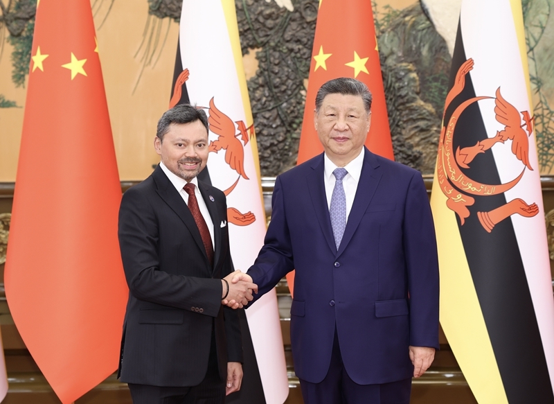 5月12日下午，国家主席习近平在北京人民大会堂会见来华进行正式访问的文莱王储比拉。图片来源：新华网