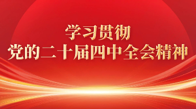 学习贯彻党的二十届四中全会精神