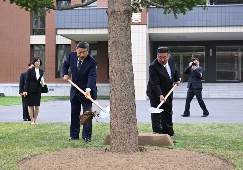 当地时间6月9日上午，中共中央总书记、国家主席习近平在朝鲜劳动党总书记、国务委员长金正恩陪同下，参访位于平壤的朝鲜劳动党中央干部学校。这是在教学楼之间的林地上，习近平和金正恩共同种下一株枞树。图片来源：新华网