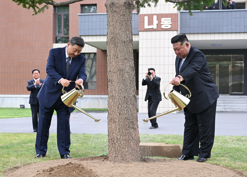 当地时间6月9日上午，中共中央总书记、国家主席习近平在朝鲜劳动党总书记、国务委员长金正恩陪同下，参访位于平壤的朝鲜劳动党中央干部学校。这是在教学楼之间的林地上，习近平和金正恩共同种下一株枞树。图片来源：新华网