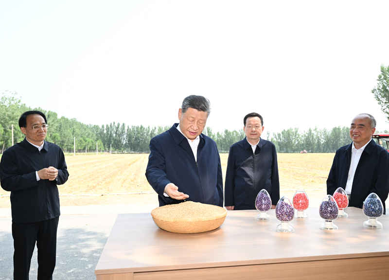 6月24日，中共中央总书记、国家主席、中央军委主席习近平在山东省德州市考察。这是习近平在陵城区边临镇东于架村了解当地“三夏”生产情况。图片来源：新华网