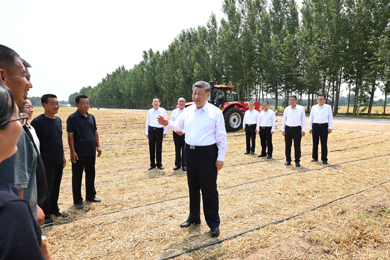 6月24日，中共中央总书记、国家主席、中央军委主席习近平在山东省德州市考察。这是习近平在陵城区边临镇东于架村，走进农田同种粮大户、农机手、农技人员亲切交流。图片来源：新华网