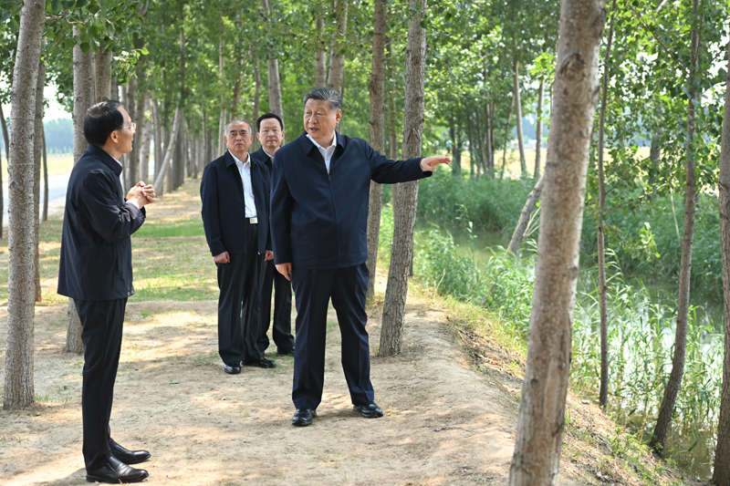 6月24日，中共中央总书记、国家主席、中央军委主席习近平在山东省德州市考察。这是习近平在陵城区边临镇东于架村农田灌渠边察看水肥一体化设施。图片来源：新华网