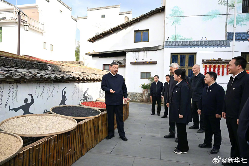 图片说明