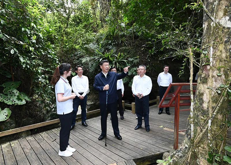 图片说明