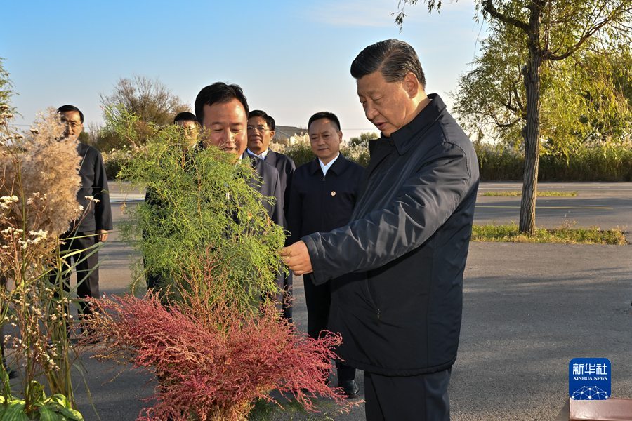 图片说明
