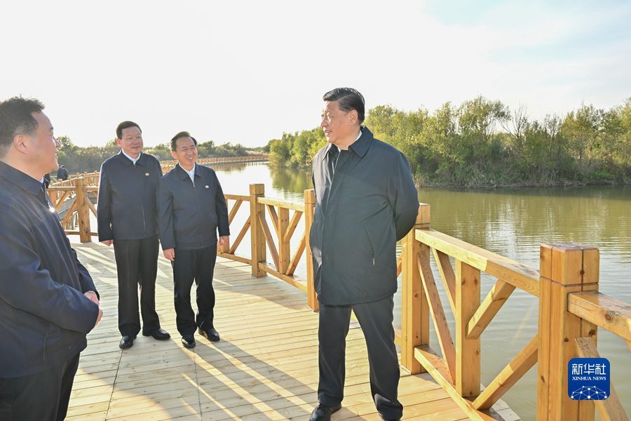 图片说明
