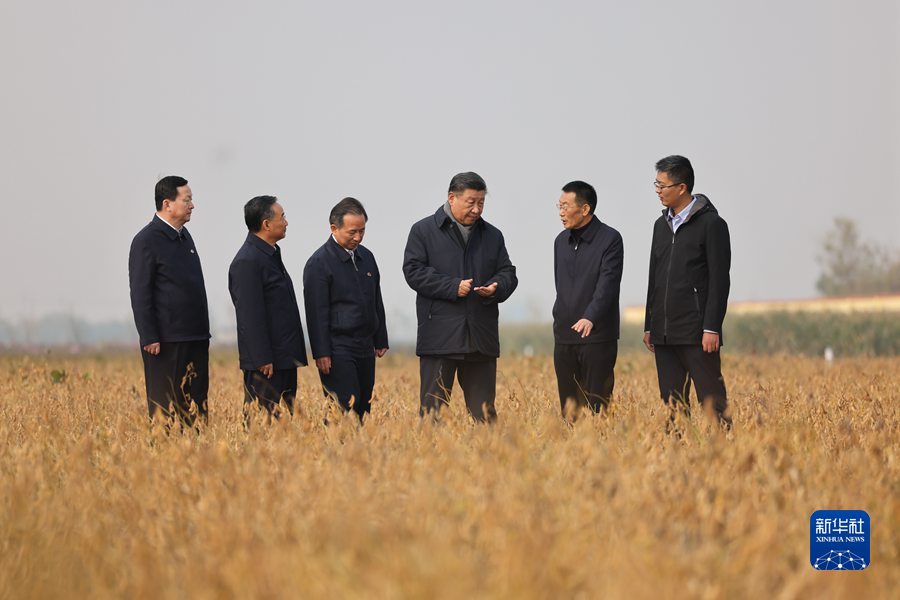 图片说明