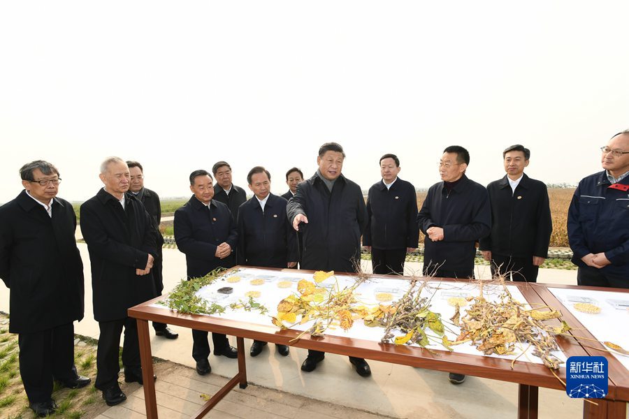 图片说明