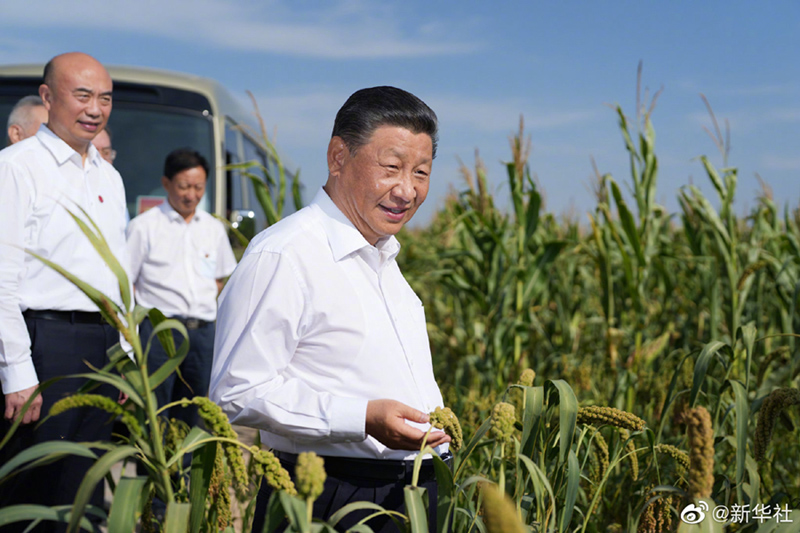 图片说明