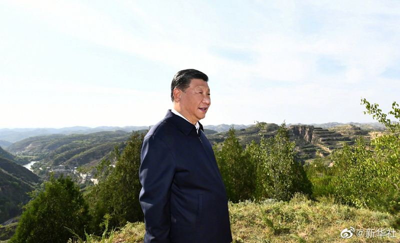 图片说明