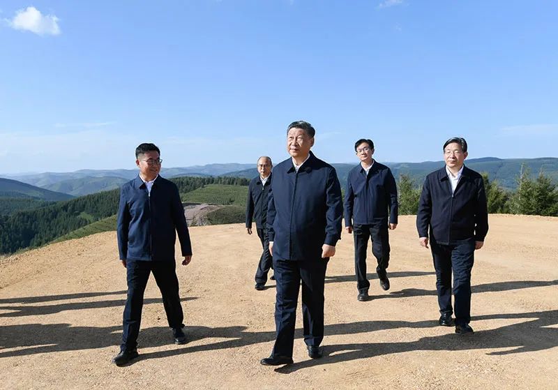 图片说明