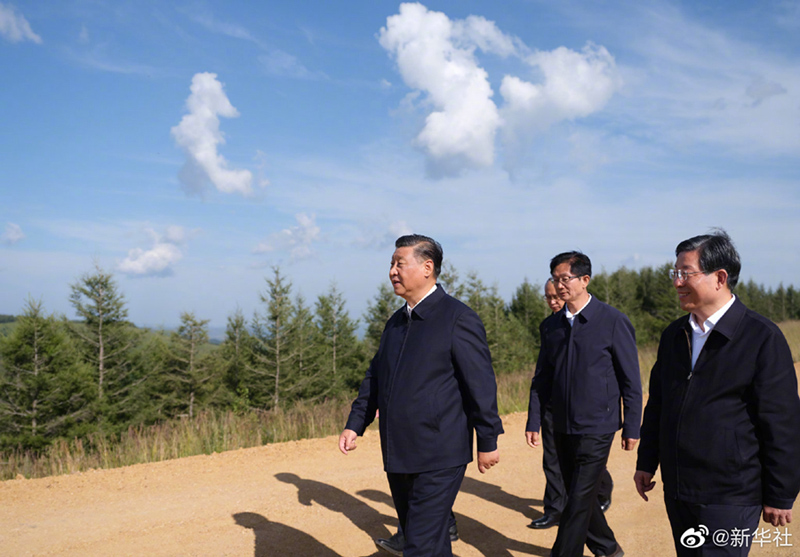 图片说明