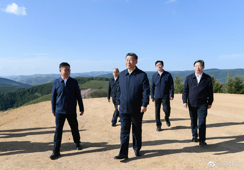 图片说明