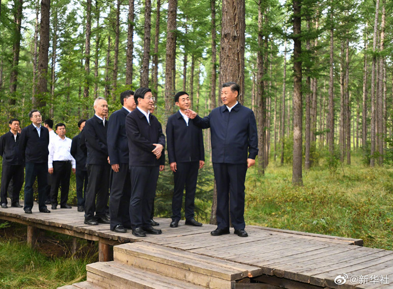 图片说明