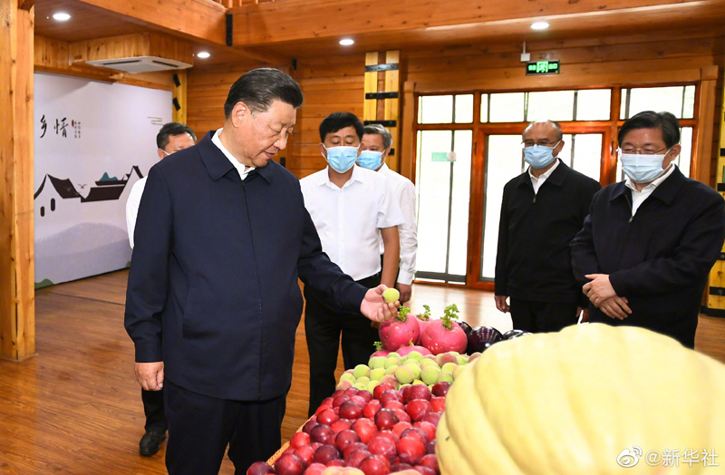 图片说明