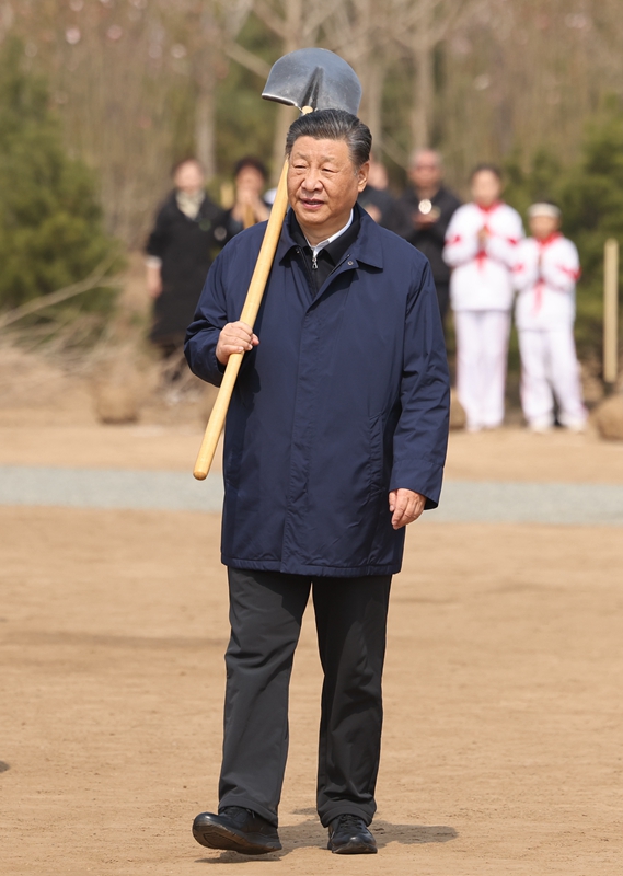 图片说明